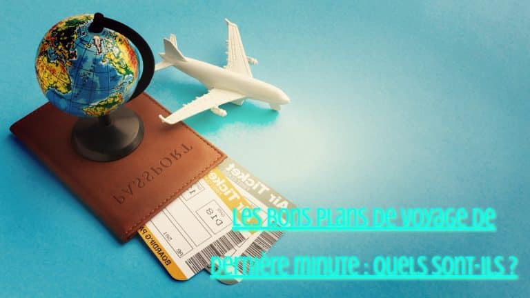 Arrangement de passeport et de billets grand angle