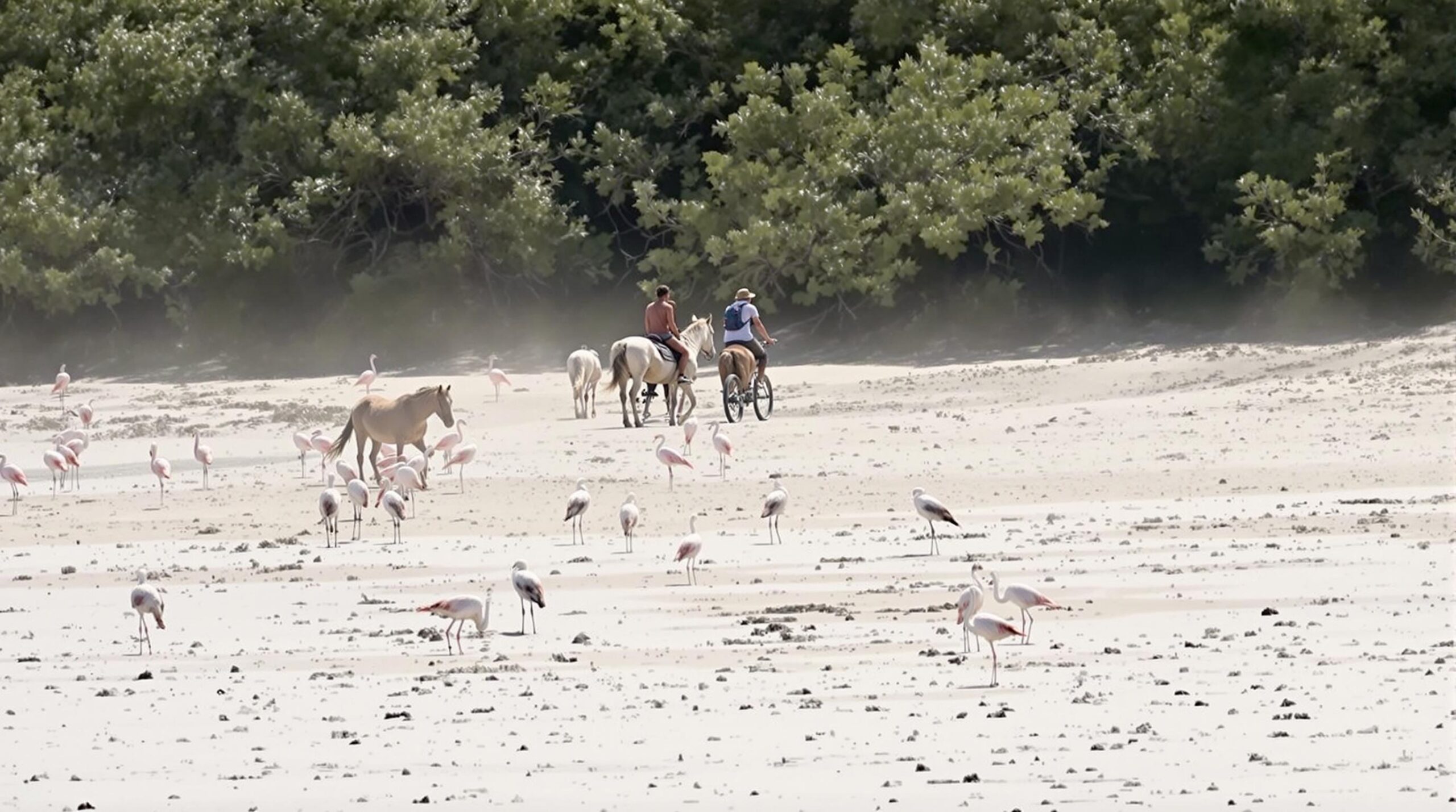 vacances familiales Camargue : famille profitant de la nature et des flamants roses en Camargue